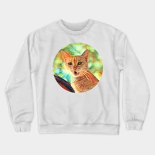 Alert floppy cat Crewneck Sweatshirt